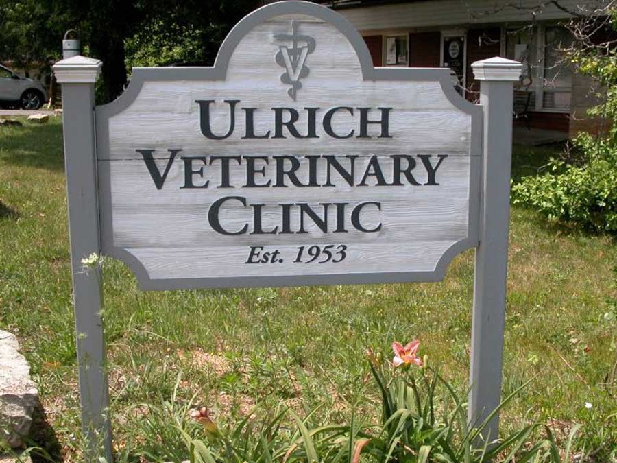 Ulrich Vet Dongola Illinois